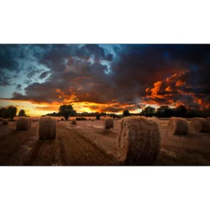 Samsung VMB-U Series 55-Inch Ultra Narrow Bezel LCD Video Wall